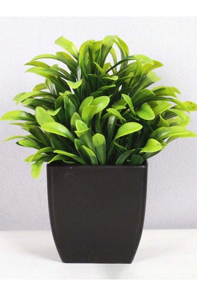 Choice S Potted podocarpus 1pc Fake Plant Black Pot, Mini Artificial Eucalyptus Potted Plant for Indoor Hom
