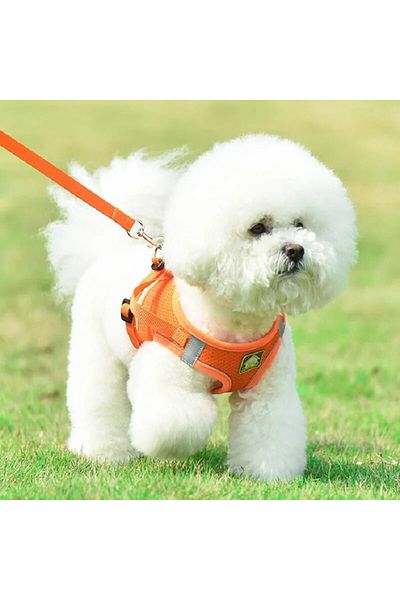Choice M Orange Reflective Pet Harness And Leash Set For Dog & Cat, No Pull Dog Vest Harness With Breathabl