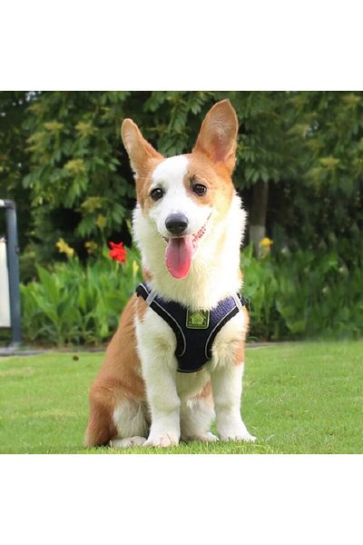 Choice M Navy Blue Reflective Pet Harness And Leash Set For Dog & Cat, No Pull Dog Vest Harness With Breath