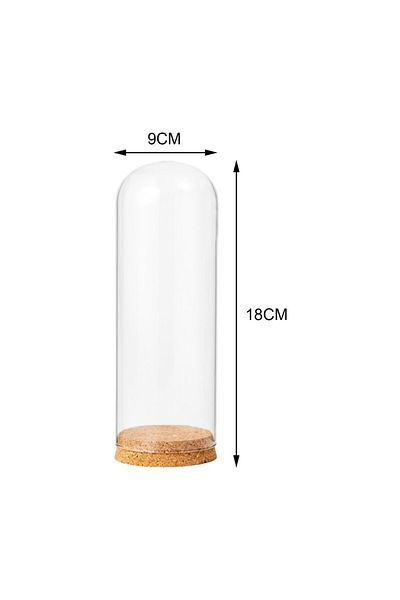 Choice 9cmx18cm Glass Dome Wooden Base Container Tabletop Display Transparent Glass Cover Dry Flower Orname