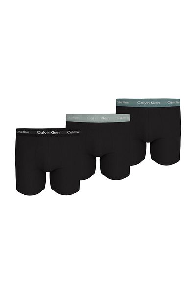 Calvin Klein Calvin KleinMen Solid Briefs