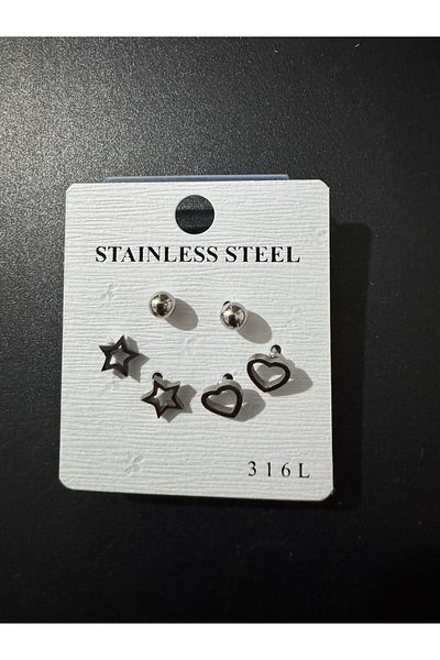 İYİ MODA 6Pcs 316L Stainless Steel Earrings Surgical Steel Design Gift Earrings