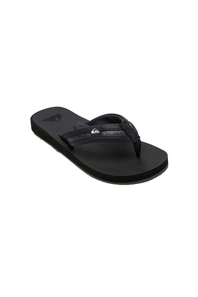 Quiksilver Carver Squish