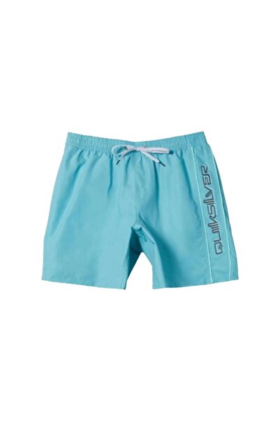 Quiksilver Everyday Vert Volley 16 Men's Blue Volley Short Men's Volley Short Aqyjv03139