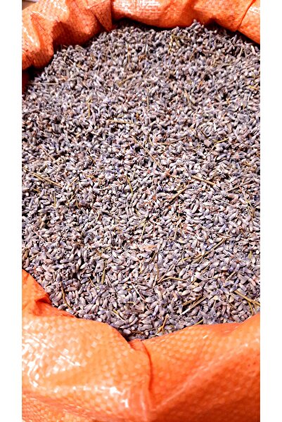 FRİG LAVANTA TASARIM HEDİYELİK Lavanta Kuru Çiçek Elenmiş 5 kg İntermedia