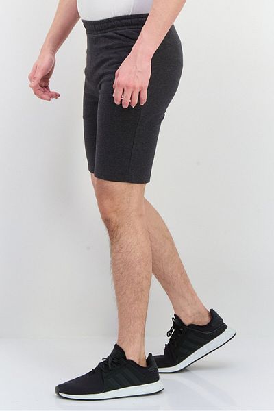 Puma Men Slim Fit Brand Logo Outdoor Shorts, Grey