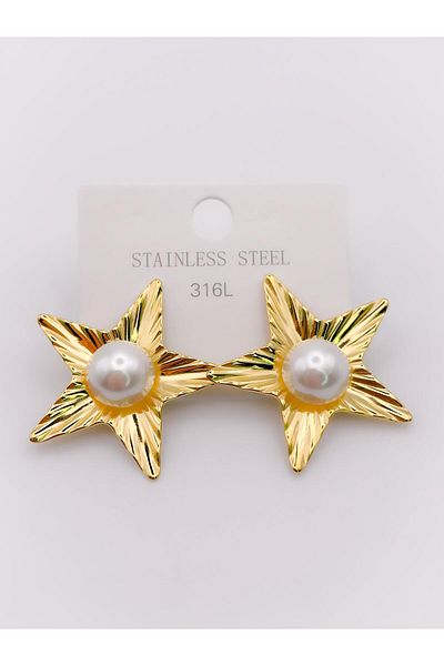 Trinos Star Design Steel Earrings