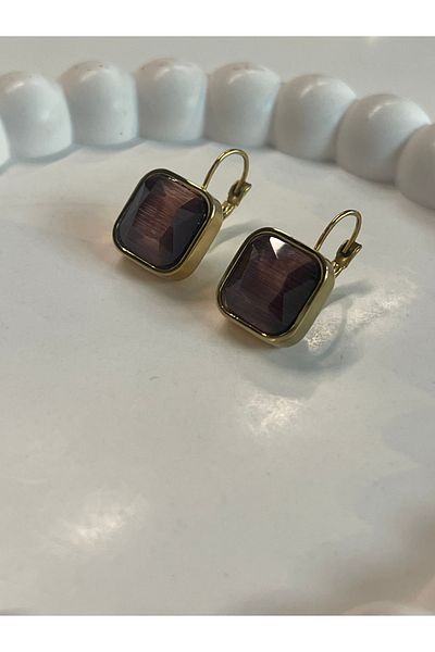 Sens Steel Plum Color Vintage Stone Earrings