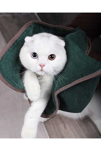 Lavin Multi-Purpose Towel for Drying Pets
