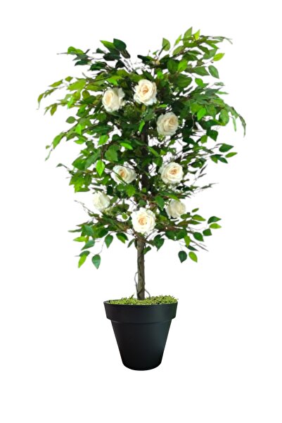 ERHAN FLOWERS ÇİÇEK & DEKORASYON 150 cm beyaz gül ağacı plastik saksıda