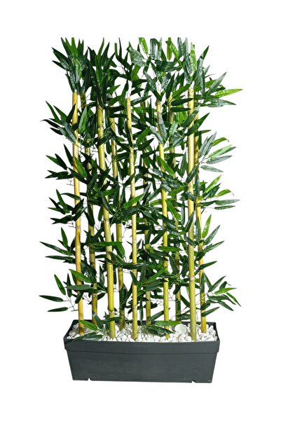 ERHAN FLOWERS ÇİÇEK & DEKORASYON 50 cm plastik saksıda  dış mekan için sepera...