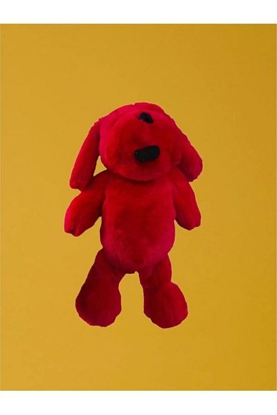 CUDDLYTOY Special Casual Dog Gift for Lover Special Design - 35 cm