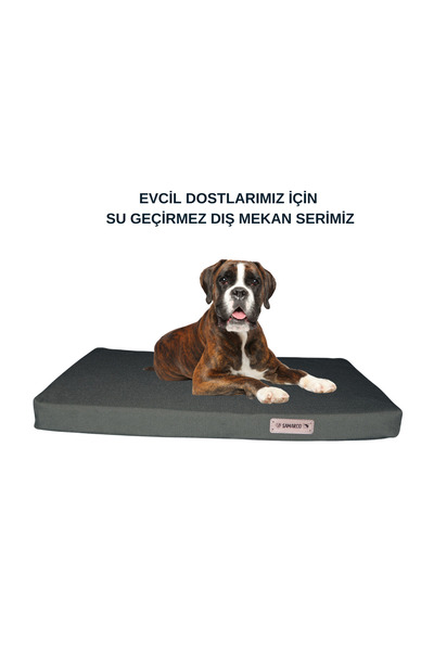 YEŞil IMP KEDİ-KÖPEK-YATAK-MİNDER-MAT-KULÜBE-KÜÇÜK-ORTA-BÜYÜK IRK DIŞ MEKAN