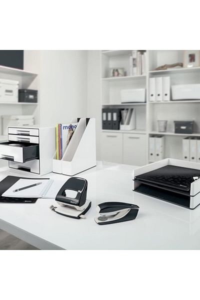 STOREMAX Daliashop Two-Color Box Folder - 53621095   Wow New Gextr 542167