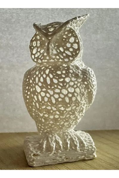 3D Brothers Voronoi Owl - Intricate Geometric Home Decor Sculpture