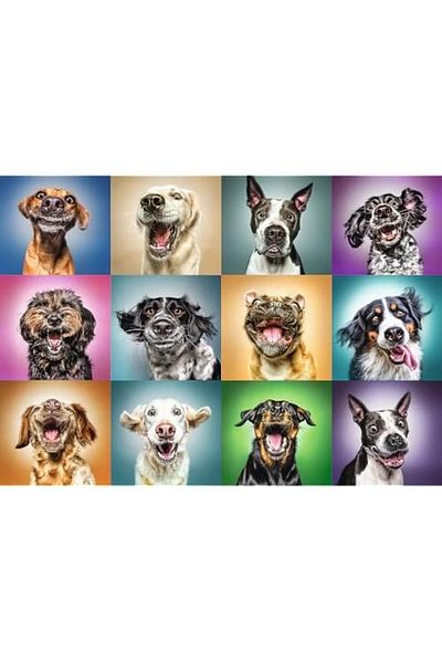 STOREMAX Svtcrt Dog Portraits 1000 Funny New Model 1053513