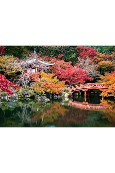 STOREMAX Svtcrt Japan Jigsaw Puzzle Puz Kyoto 1000P New Model 1053513