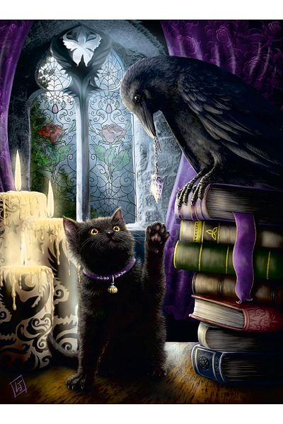 STOREMAX 500P Puzzle Crow and Cat, Jigsaw Puzzle Star Buy Bz 1087243