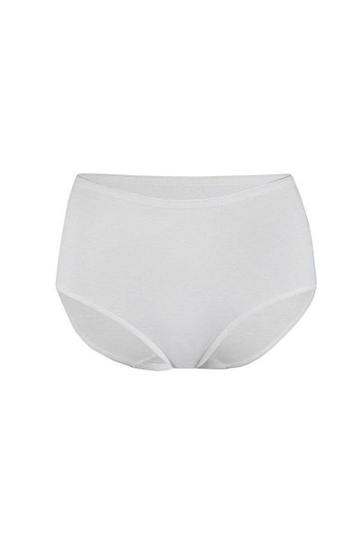 Yıldız İç Giyim Star 3748 Ecru Non-Marking High Waist Women's Bato Panties