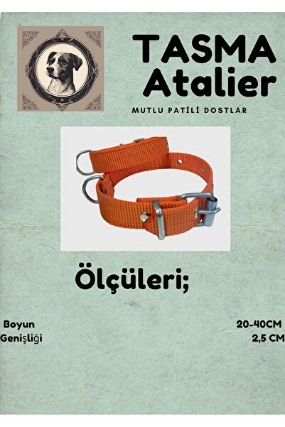 shop Küçük Boy Yavru Köpekler İçin Tasma