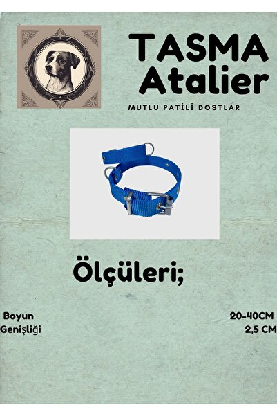 shop Küçük Boy Yavru Köpekler İçin Tasma