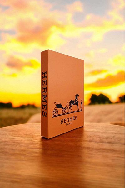 BayCazip Decorative Book Look Box Set of 2 Decorative Book Looking Box