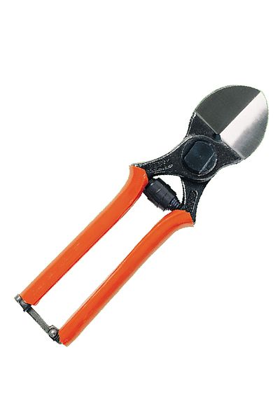 Lisam 9001 Model Pruning Tattoo Scissors - 21 cm