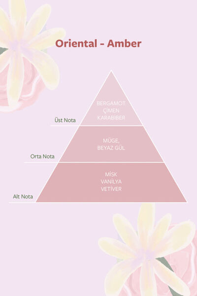 Dolce Kadın Yeni Bella Parfüm 100ml + Deodorant 150ml + Roll-on 50ml 3 lü Set