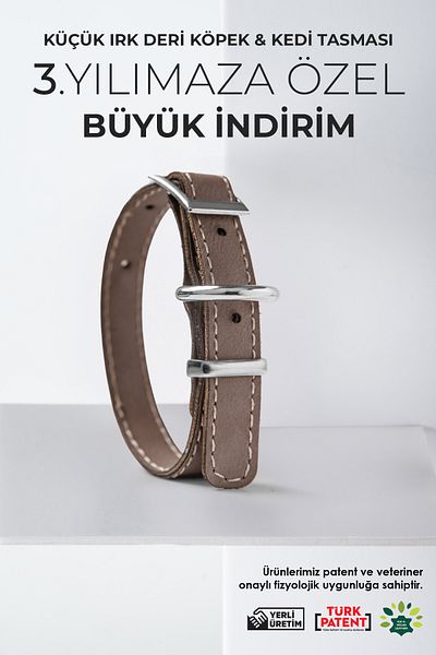 pasiole Dog Collar, Small Breed Dog and Cat Collar, Dog Collar