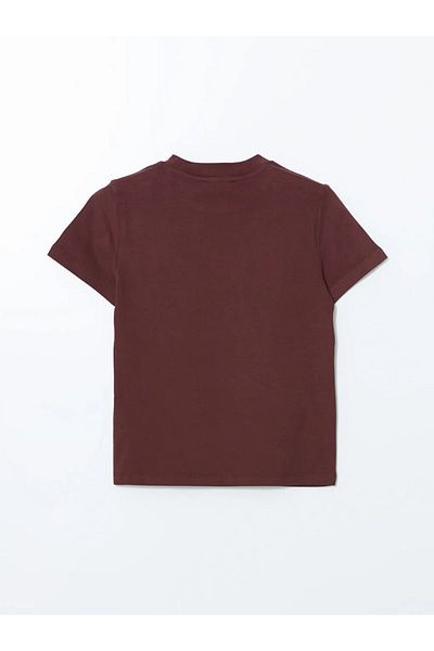 LC Waikiki Lcw Vision Burgundy Crew Neck Women's T-Shirt