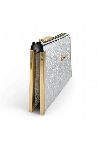 Evident Silver Color Small Portfolio & Women's Handbag (19 X 11)