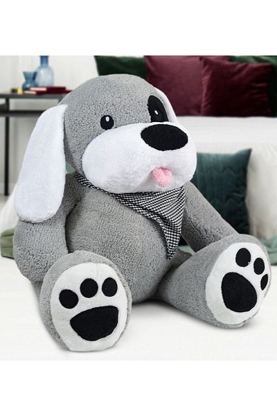 Princess Bear Charismatic Pirate Dog (100% Native)