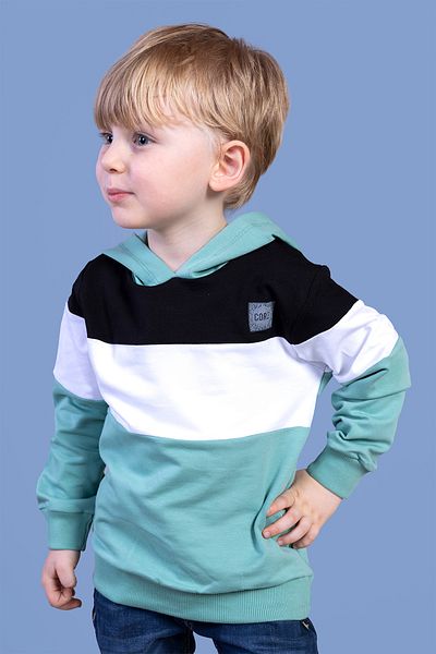 Toontoy Boy's Sweatshirt - Hooded and Garni Detailed