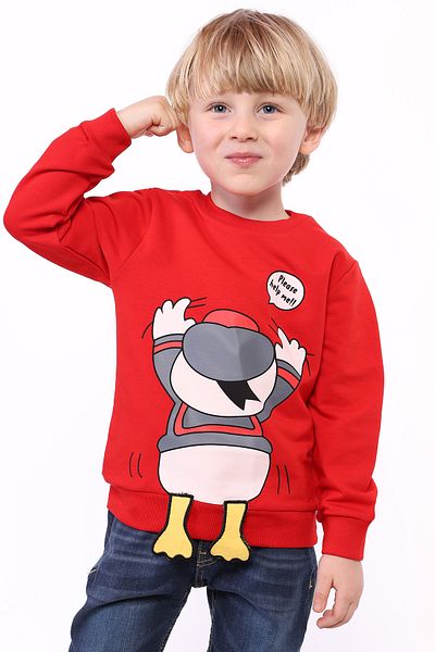 Toontoy Boy's Sweatshirt - Printed