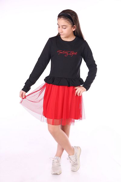 Toontoy Embroidered Tulle Girl's Dress