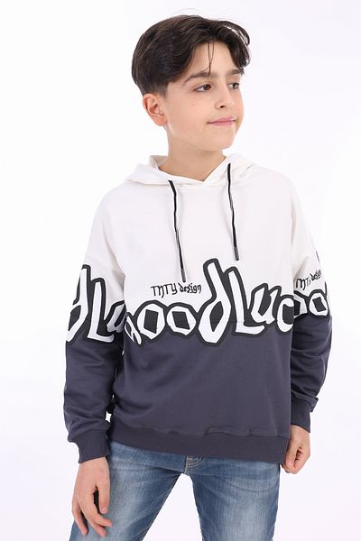 Toontoy Boy's Sweatshirt - Printed