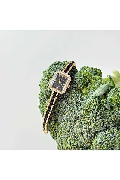 Boise Atelier Clament Watch | Saat