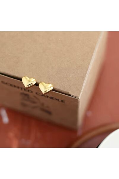 BY DİLEK ÇETİN ACCESSORY Çelik ikili bombeli kalp figürlü piercing (2 adet)