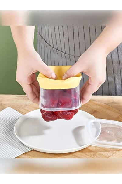 Cosiness Deep Freezer Storage Container