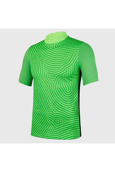 Nike Gardien Iii Men's Green Stand Collar Goalkeeper Jersey