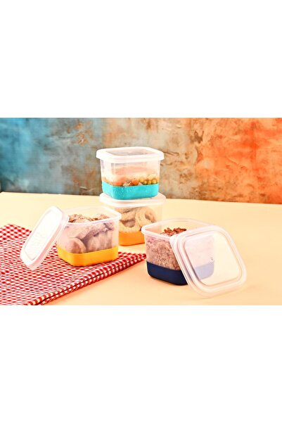 Cosiness Deep Freezer Storage Container