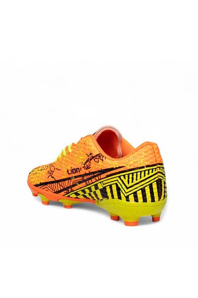 Lion 624 Crampons