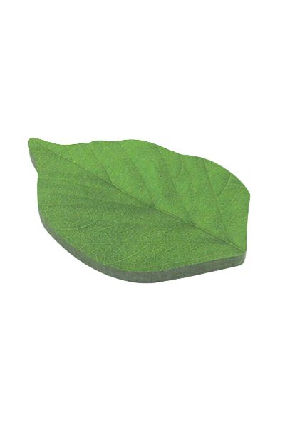 Choice 1 Pad 50 Sheets/pad Creative Green Leaf Shaped Sticky Notepad, Photo Wall Refrigerator Decoration St