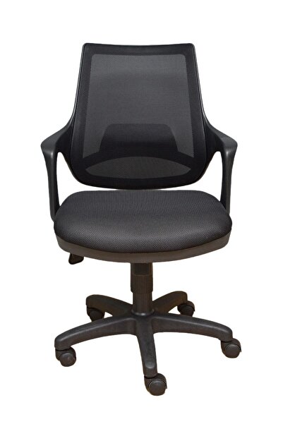 Aldın Aldın Fileli Ofis Müdür Öğrenci Çalışma Koltuğu