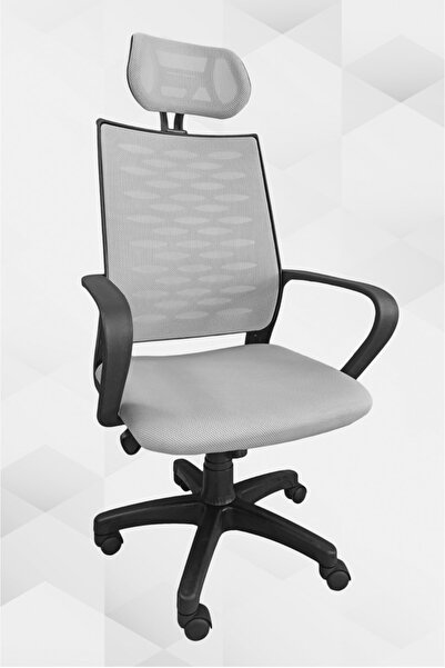 Porziyon Atlas Fileli Plastik Yönetici Ofis Büro Bilgisayar Çalışma Koltuğu -...