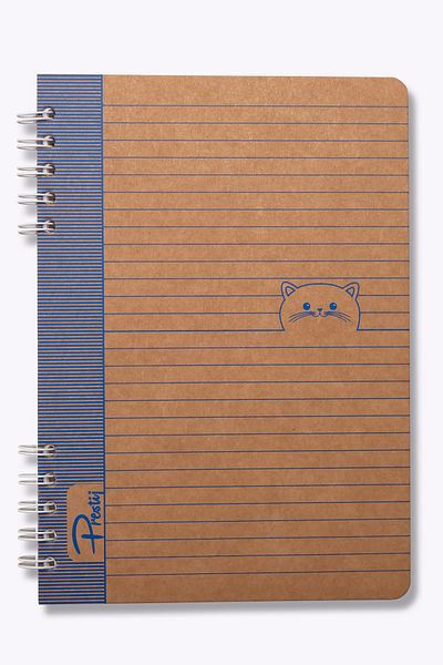 Prestij Σημειωματάριο Kitty Kraft ριγέ 17x24