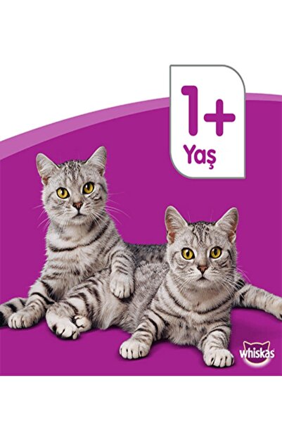 Whiskas Ton Balıklı Kuru Mama 3.8 Kg