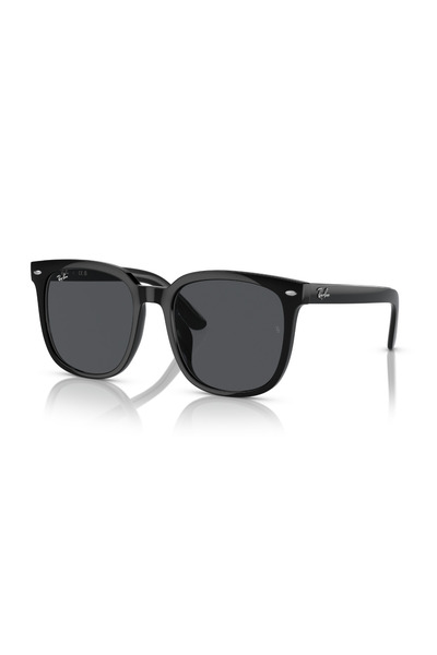 Ray-Ban نظارات شمسية RB 4401D 601/87 55