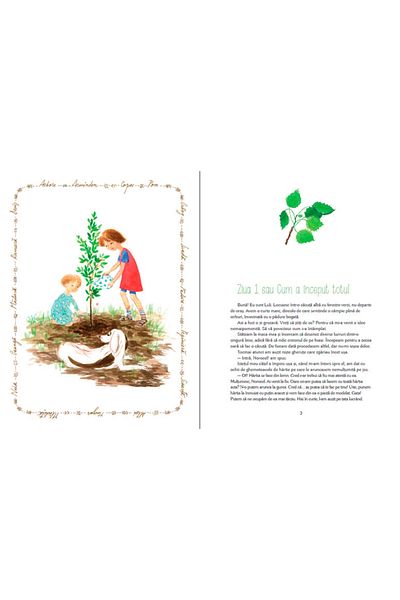 Editura Cartea Copiilor Luli and the tree house - Iulia Iordan
