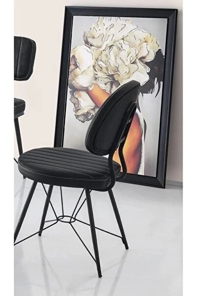 Evistro Ahtapot Paslanmaz Metal Ayaklı Salon Balkon ve Mutfak Sandalyesi 1 ADET